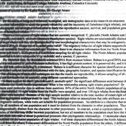 Minutes, 1999-05-11. Popula...